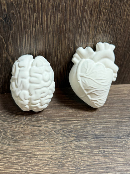 Brain & Heart DIY Plaster Paint Kit | Paint Your Own Heart & Brain Craft