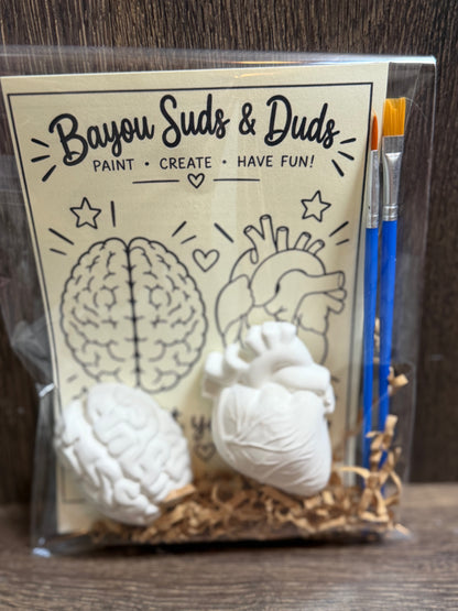 Brain & Heart DIY Plaster Paint Kit | Paint Your Own Heart & Brain Craft