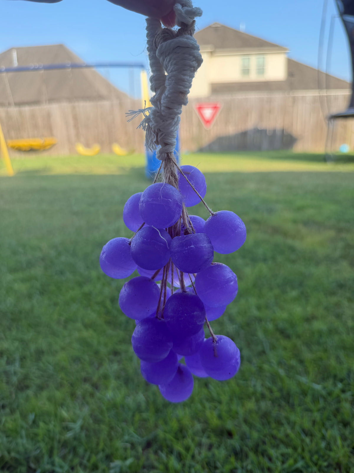 Grape Rope Soap | Handmade Soap on a Rope