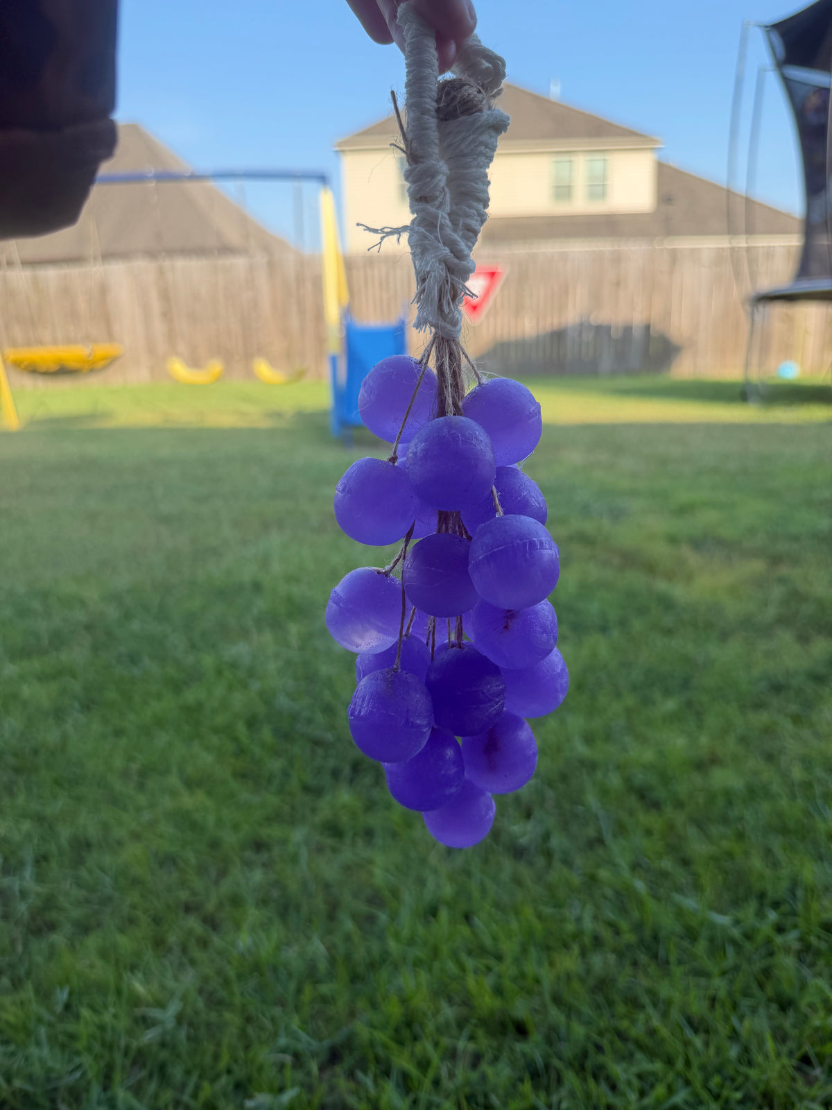 Grape Rope Soap | Handmade Soap on a Rope